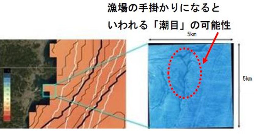 世界初※１、人工衛星を活用した
高精度漁場予測サービスに関する共同研究の開始について