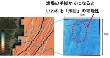 従来の気象衛星で撮影した宮崎県延岡近海の海表面温度分布（左）と、アクセルスペースの地球