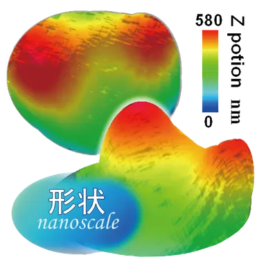 ナノ振動モード形状計測