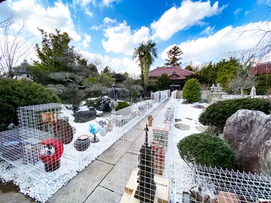 アイシャ・エルクメン《Inventory》