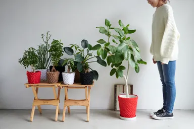 キービジュアル1