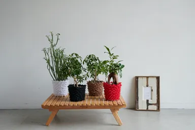 装着イメージ複数1