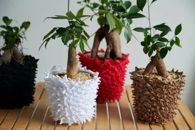 装着イメージ複数3