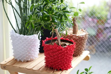 装着イメージ複数4