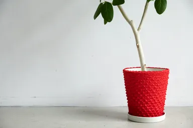 装着イメージ赤3