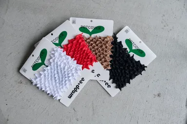 カラーバリエーション