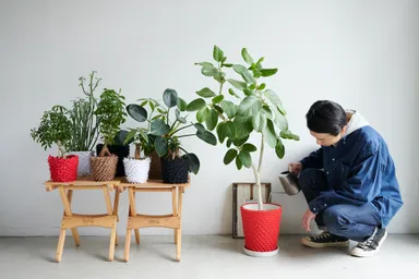 キービジュアル2