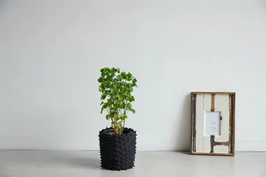 装着イメージ黒