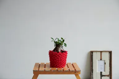 装着イメージ赤2