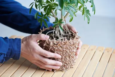 ポットカバー装着後