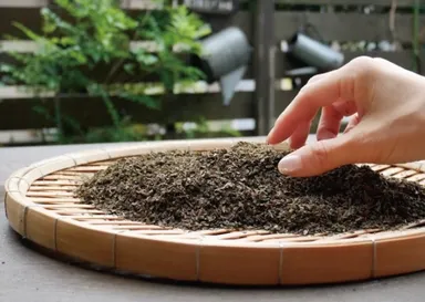 喜界島　長命草茶(1)