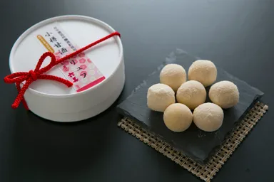 通常パッケージ(4)