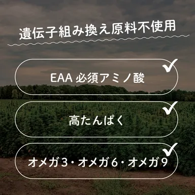 アマナ ヘンプ プロテイン 11