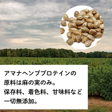 アマナ ヘンプ プロテイン 9