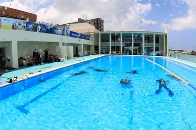 宜野湾マリン支援センター まりりんぎのわん