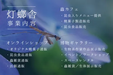灯螂舎事業内容