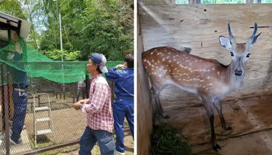 サユリワールドに来た時