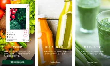 今後の商品イメージ