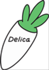 デリカフーズホールディングス株式会社のロゴ