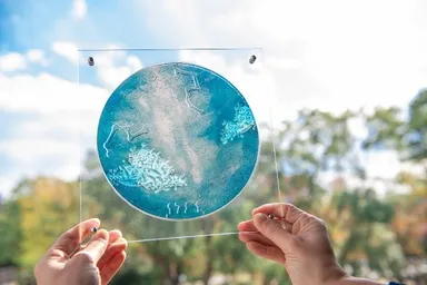 光をあてることで美しいフォルムを映し出す