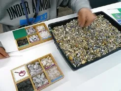 鉱物の標本を作ろう