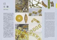 『驚異の珪藻世界』ページ見本6
