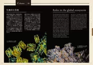 『驚異の珪藻世界』ページ見本8