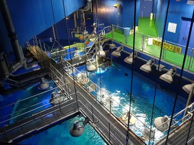 バックヤードウォーク 2