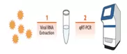 定量的リアルタイム(PCR)