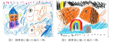 飼育前後における絵の一例