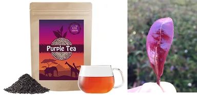 クレンズパープルティー