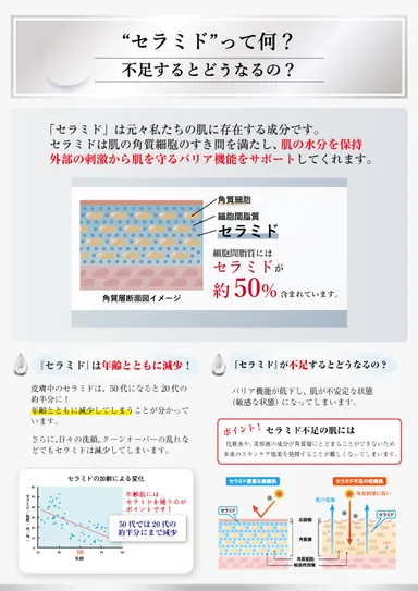 セラミドって何？