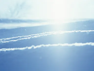 White(ホワイト)　雪＆光