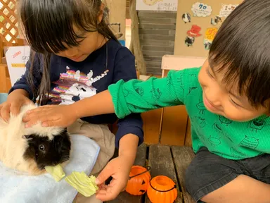 動物ふれあい体験