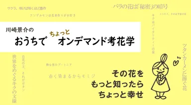 オンデマンド考花学　ビジュアルバナー