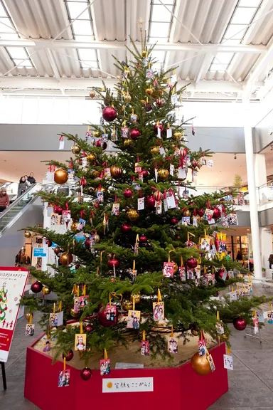 5メートルツリー(全景)