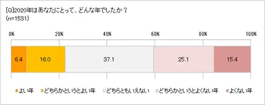 今年はどんな年でしたか？