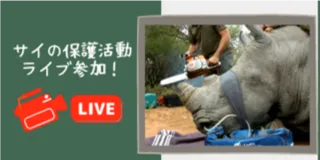 サイの角切り活動にライブ参加！ 支援金額：10,000円