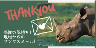 感謝の気持ち！南アフリカ共和国からのサンクスメール