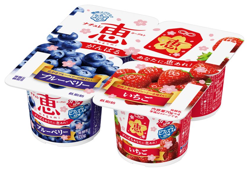 がんばるあなたに恵 megumi あれ！
「ナチュレ 恵 megumi フルーツヨーグルト」シリーズ
受験生応援パッケージを展開
2021年1月初旬～2021年2月末まで
