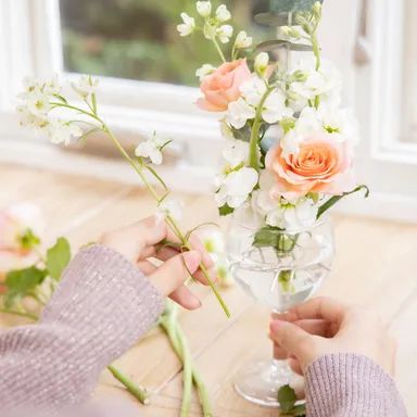 供TOMO イケバナキーパー　イメージ