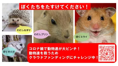 動物たちの声