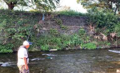 柳瀬川釣り