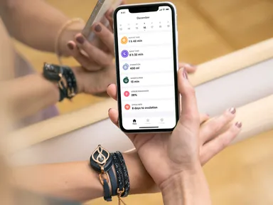 リーフ・クリスタルとアプリ