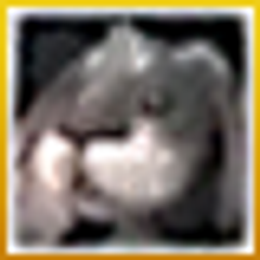img_242052_3.png