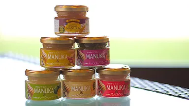 フュージョンシリーズ全6種類