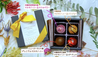 オリジナルマヌカハニーチョコレート