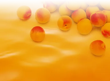 完熟南高梅 イメージ