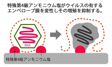 抗ウイルスのメカニズム(2)
