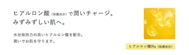 成分_ヒアルロン酸